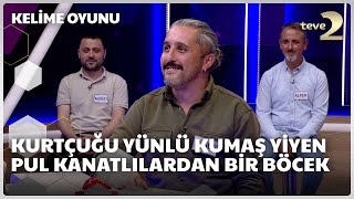 Kurtçuğu yünlü kumaş yiyen pul kanatlılardan bir böcek  Kelime Oyunu [upl. by Louls]