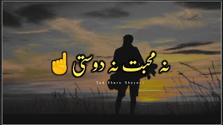 Na Mohabbat Na Dosti  Dosti Shayari Status  Sad Shero Shayari Whatsapp status [upl. by Kramlich731]