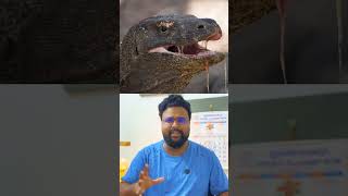 komodo dragons ന്റെ ആരും പറയാത്ത ബാല്യകാലം 🥺😅  komodo dragons  facts  sreelal [upl. by Kaleena878]