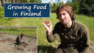 Growing Food in Freezing Finland  My First Year [upl. by Boyt]