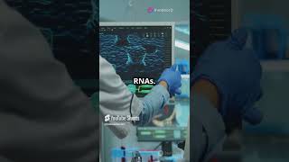 Unveiling Non Coding RNAs Cellular Regulators science school trending ytshort ytshorts facts [upl. by Alphonse]