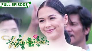 ENG SUB Ep 171  Wildflower  Maja Salvador Tirso Cruz III Aiko Melendez [upl. by Dulla]