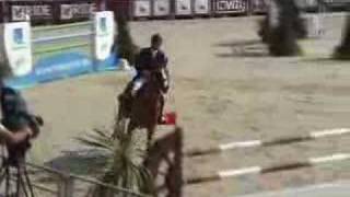 ♂ Hym dIsigny jumping stallion SF by Qredo de Paulstra [upl. by Aseeral320]