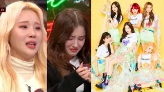 2023 MOMOLAND Dances to Random Song Compilation feat Blackpink  bts  Red Velvet [upl. by Harwill]