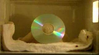 THE BEST CD In Microwave [upl. by Merceer]