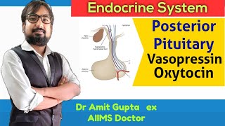 pituitary gland  vasopressin  dr amit gupta  antidiuretic hormone  diabetes insipidus  neet ug [upl. by Titania]