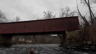 Housatonic River  November 21 2023 [upl. by Latouche]