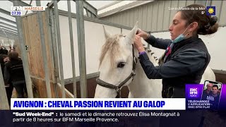 Avignon  Cheval Passion revient au galop [upl. by Godiva]