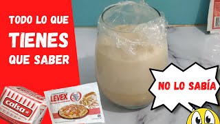 ✔🥖COMO usar la LEVADURA SECA INSTANTANEA como ACTIVARLA la GUÍA COMPLETA 1 💥❗ [upl. by Bayer]