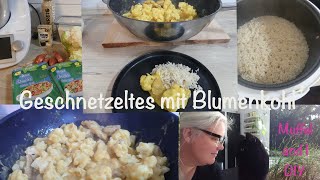 vegetarisches Geschnetzeltes mit Blumenkohl und Reis [upl. by Sanders]