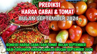 Prediksi harga cabai dan tomat bulan September 2024 [upl. by Ydieh]