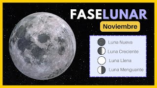 🌘 Fases de la luna noviembre 2024 ✨ Calendario Lunar noviembre 2024 🌙 Luna hoy calendariolunar [upl. by Nyvrem]