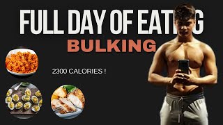 Full Day Of Eating  Pull Day [upl. by Annol132]