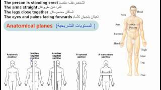 04Anatomical Terms1Anatomical Position amp Planes Anatomy Intro Dr Ahmed Kamal [upl. by Al]