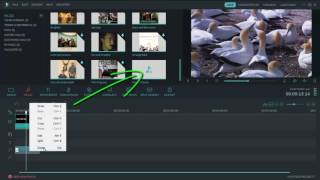 How to add music and audio to your video with filmora video editor [upl. by Einalem]