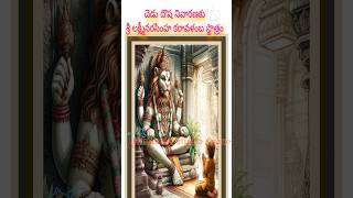 Shree Lakshmi Narasimha Swamy KARAVALAMBHA Sthotram  Slokam yadadrinarasimha devotionalvideos [upl. by Aseuqram]