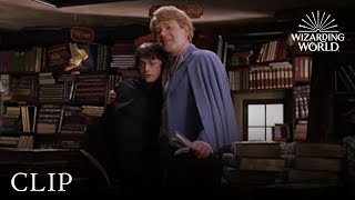 Gilderoy Lockhart  Harry Potter and the Chamber of Secrets [upl. by Manon]