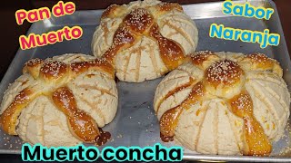 Pan de muerto concha sabor naranja conchamuerto para negocio [upl. by Hako790]