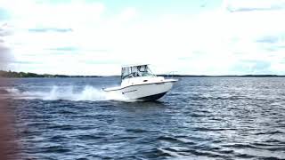 2001 21’ Striper  2101 Walkaround [upl. by Nobie146]