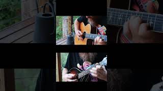 Mandolin and Acoustic jam🌱🌳🌿 [upl. by Drucilla]