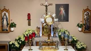 LIVE Eucharistic Adoration  Sisters of Divine Mercy [upl. by Henebry]