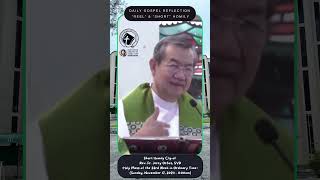 SHORT CLIP – HOMILY – REFLECTION OF REV FR JERRY ORBOS SVD [upl. by Herodias849]