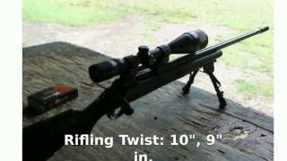 Savage 10 FPSR 223 Remington Rifle Full Specs and Specs [upl. by Yann]