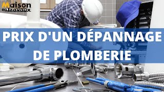 Tarif dun plombier et prix dun dépannage de plomberie [upl. by Ilatfen]