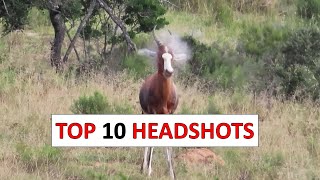 10 Insane Hunting Headshots [upl. by Alaham974]