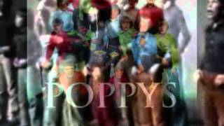 Les PoppysNon Ne Criez Pas [upl. by Nnairek226]