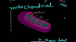 Citric acid cycleshortsrespirationplantphysiology [upl. by Serrell]