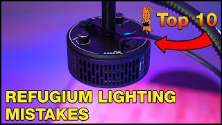 Whats the Best Approach to Using and Choosing the Right Refugium Light [upl. by Moht]