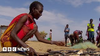 Kenyas Lake Turkana floods as East Africa faces drought – BBC News [upl. by Ssew890]