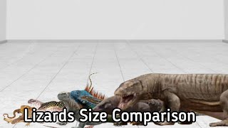 Lizard Size Comparison [upl. by Yllatan]