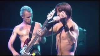 Red Hot Chili Peppers  Havana Affair  Live at Olympia Paris [upl. by Hays]