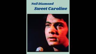 Neil Diamond  Sweet Caroline [upl. by Trembly]