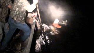 Chris Kills a Monster Alligator 704 Outdoors goes Gator Hunting in Florida [upl. by Drews]