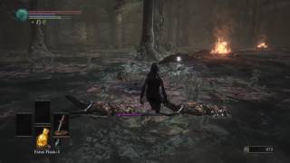 Dark Souls 3 Nameless Knight Set Location [upl. by Akcira]