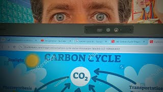 IB Biology carbon cycle Markscheme hack [upl. by Alyek178]