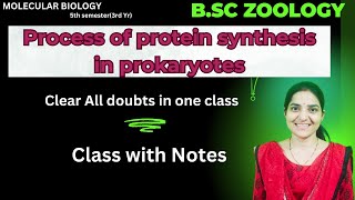 Process of Protein Synthesis In Prokaryotes BSc Zoology 5th semesterprokaryotic translation [upl. by Valora]