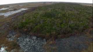 Everglades Mountains and Valleys Tropical Hardwood Hammock [upl. by Mathew408]