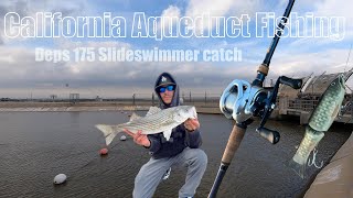 CA Aqueduct Fishing  Striped Bass Catch Deps 175 Slideswimmer [upl. by Mungovan]