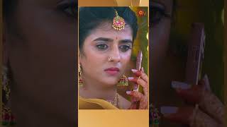 Marumagal SunTV shorts tamilserial [upl. by Nagek]