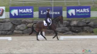 BROMONT CCI DRESSAGE JUNE 6 2024 [upl. by Rettig254]