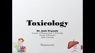 Hepatotoxicity [upl. by Asilef]