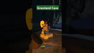 Inside Grassland Cave in survival mode LEGO Fortnite lego fortnite gaming survival [upl. by Jaehne]