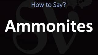 How to Pronounce Ammonites CORRECTLY [upl. by Gisele]