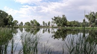 Millpond Recreation Area just north of Bishop California [upl. by Eirollam249]