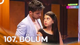 Kaisi Yeh Yaariaan  Yaban Çiçeği  107 Bölüm [upl. by Lasorella801]