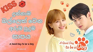 A Good Day to be a Dog Sinhala Review Episode 06  බල්ලෙක් වෙන්න හොදම දවස 🐶❤ [upl. by Llerref]